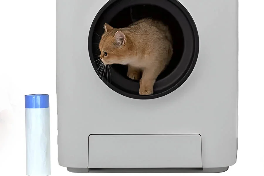 self cleaning cat boxes